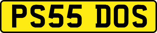 PS55DOS