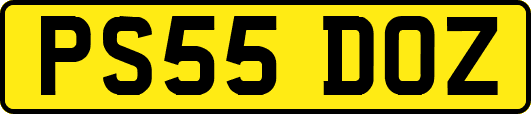 PS55DOZ