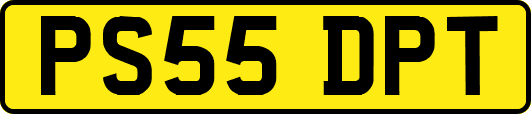 PS55DPT