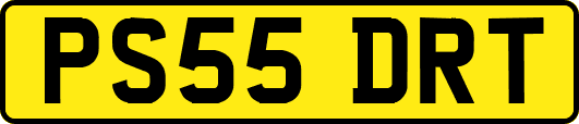PS55DRT