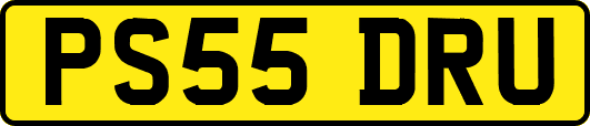 PS55DRU