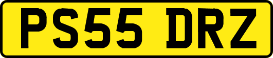 PS55DRZ