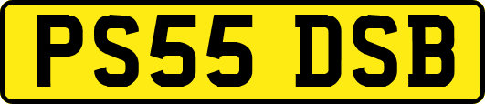 PS55DSB