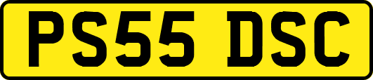 PS55DSC