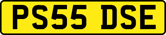 PS55DSE