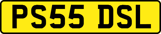 PS55DSL