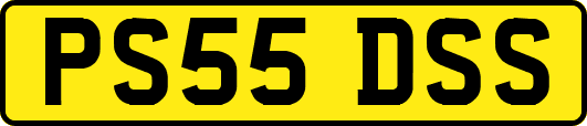 PS55DSS