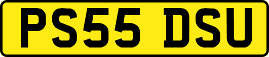 PS55DSU