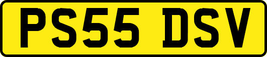 PS55DSV