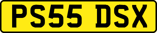 PS55DSX