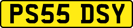 PS55DSY