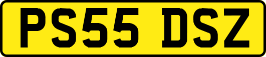 PS55DSZ