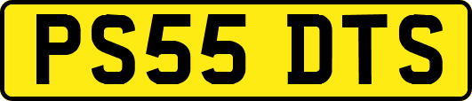 PS55DTS