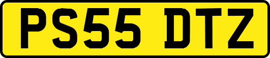 PS55DTZ