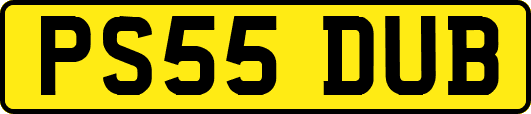 PS55DUB