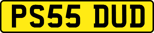 PS55DUD