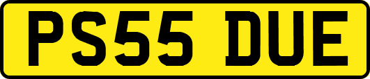 PS55DUE