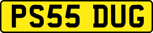 PS55DUG