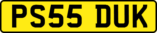 PS55DUK