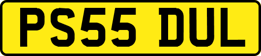 PS55DUL
