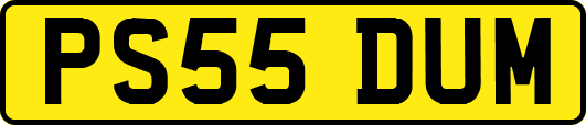 PS55DUM