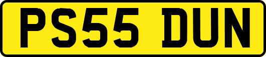 PS55DUN