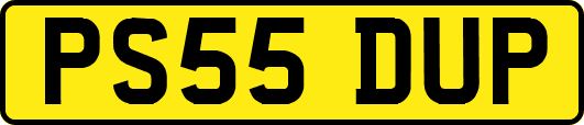 PS55DUP