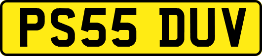 PS55DUV