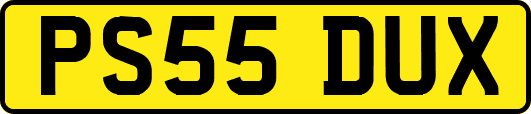 PS55DUX