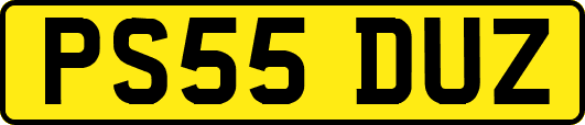 PS55DUZ