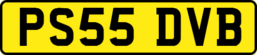 PS55DVB