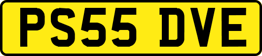 PS55DVE