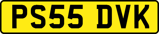 PS55DVK