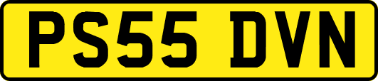 PS55DVN