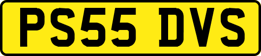 PS55DVS