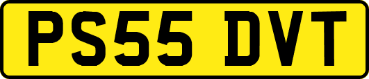 PS55DVT