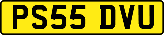 PS55DVU