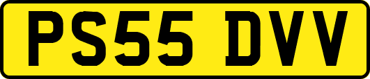 PS55DVV