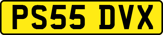 PS55DVX