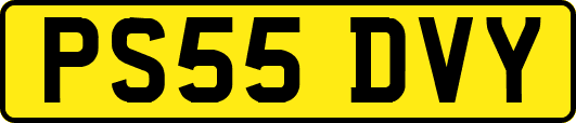 PS55DVY