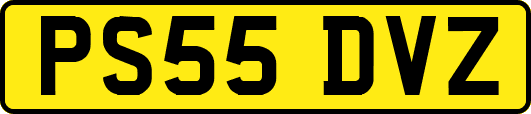 PS55DVZ