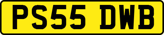 PS55DWB