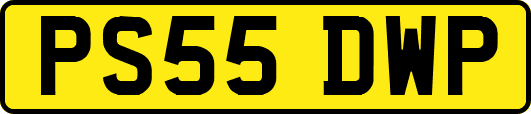 PS55DWP