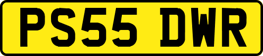 PS55DWR