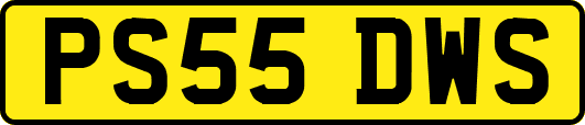 PS55DWS