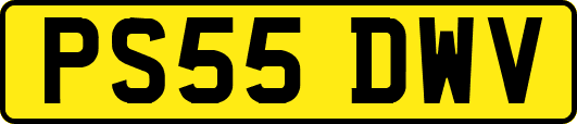 PS55DWV