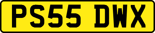 PS55DWX