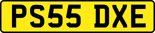 PS55DXE