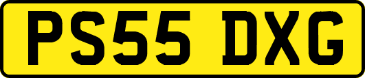 PS55DXG