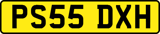 PS55DXH